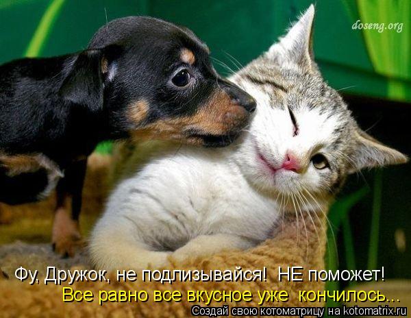 Все равно все вкусное уже кончилось... Фу, Дружок, не подлизывайся! НЕ поможет!... Котоматрица: Все равно все вкусное уже кончилось... Фу, Дружок, не подлизывайся! НЕ поможет!