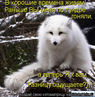 -В хорошие времена живем! Раньше ВЫ меня по тундре гоняли, а теперь Я к вам... Разницу ощущаете?)))... Котоматрица: -В хорошие времена живем! Раньше ВЫ меня по тундре гоняли, а теперь Я к вам... Разницу ощущаете?)))