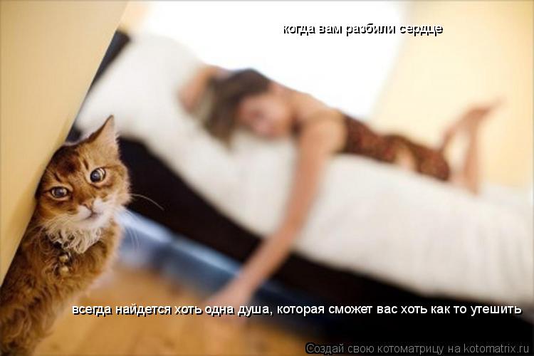всегда найдется хоть одна душа, которая сможет вас хоть как то утешить когда вам разбили сердце... Котоматрица: всегда найдется хоть одна душа, которая сможет вас хоть как то утешить когда вам разбили сердце
