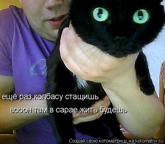 ещё раз колбасу стащишь вооон там в сарае жить будешь... Котоматрица: ещё раз колбасу стащишь вооон там в сарае жить будешь