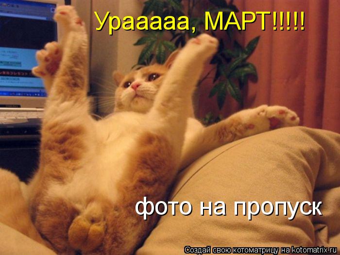 фото на пропуск Урааааа, МАРТ!!!!!... Котоматрица: фото на пропуск Урааааа, МАРТ!!!!!