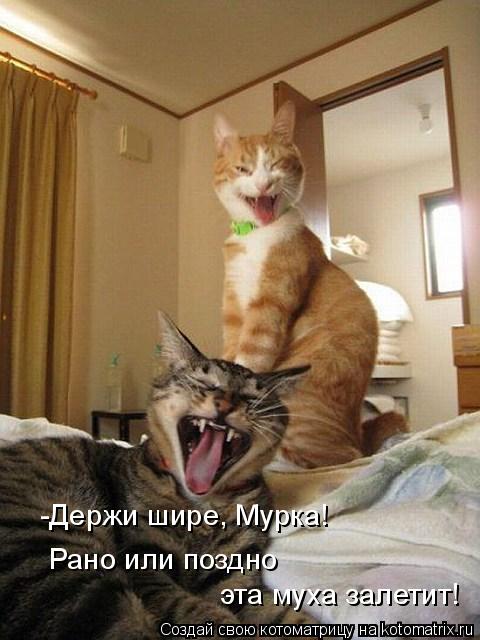 -Держи шире, Мурка! эта муха залетит! Рано или поздно... Котоматрица: -Держи шире, Мурка! эта муха залетит! Рано или поздно