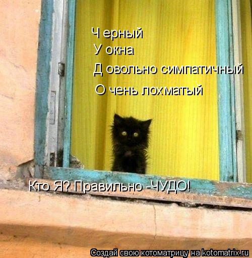 Ч ерный У окна Д овольно симпатичный О чень лохматый Кто Я? Правильно -ЧУДО!... Котоматрица: Ч ерный У окна Д овольно симпатичный О чень лохматый Кто Я? Правильно -ЧУДО!