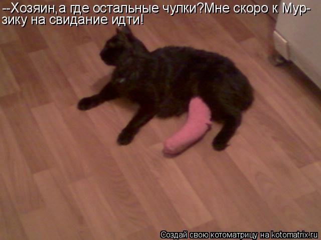 --Хозяин,а где остальные чулки?Мне скоро к Мур- зику на свидание идти!... Котоматрица: --Хозяин,а где остальные чулки?Мне скоро к Мур- зику на свидание идти!