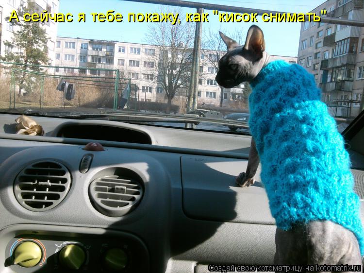 А сейчас я тебе покажу, как "кисок снимать"... Котоматрица: А сейчас я тебе покажу, как "кисок снимать"