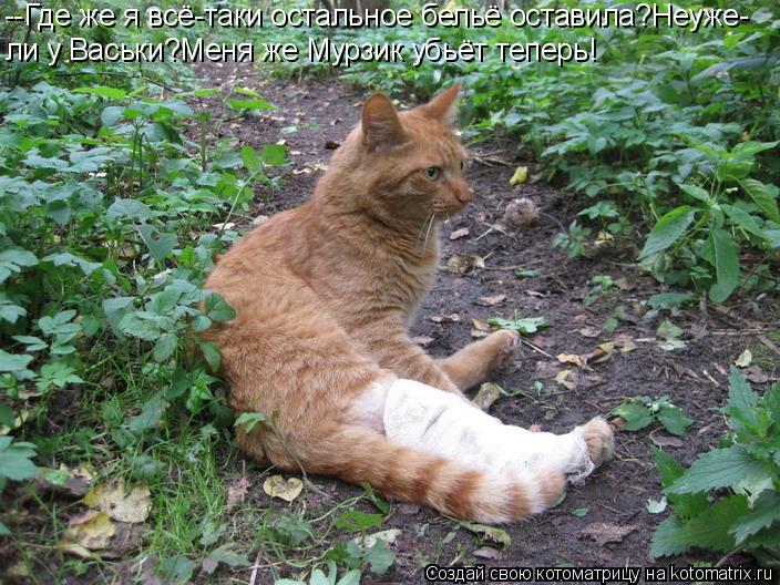 --Где же я всё-таки остальное бельё оставила?Неуже- ли у Васьки?Меня же Мурзик убьёт теперь!... Котоматрица: --Где же я всё-таки остальное бельё оставила?Неуже- ли у Васьки?Меня же Мурзик убьёт теперь!