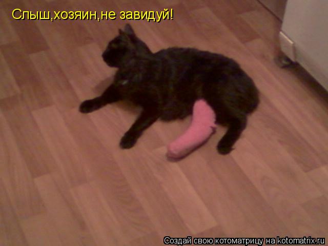 Слыш,хозяин,не завидуй!... Котоматрица: Слыш,хозяин,не завидуй!
