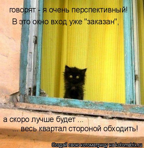 говорят - я очень перспективный! В это окно вход уже "заказан", а скоро лучше будет ... ... весь квар... Котоматрица: говорят - я очень перспективный! В это окно вход уже "заказан", а скоро лучше будет ... ... весь квартал стороной обходить!