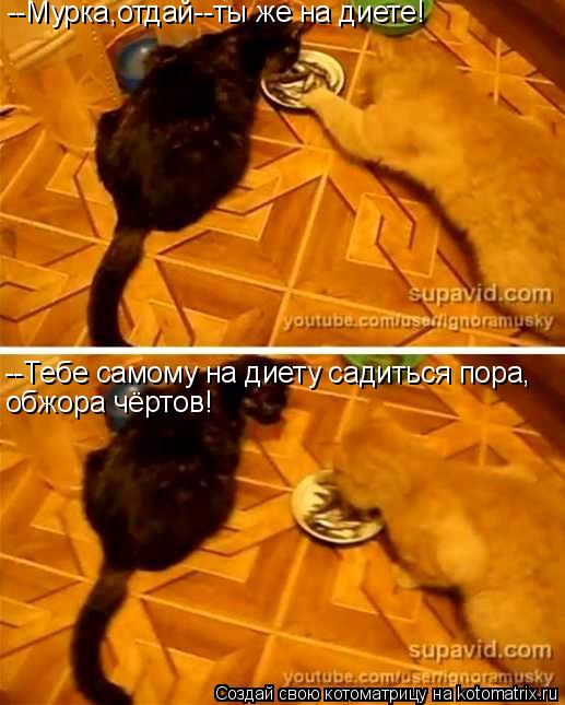 --Мурка,отдай--ты же на диете! --Тебе самому на диету садиться пора, обжора чёртов!... Котоматрица: --Мурка,отдай--ты же на диете! --Тебе самому на диету садиться пора, обжора чёртов!