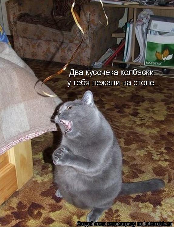 Два кусочека колбаски у тебя лежали на столе...... Котоматрица: Два кусочека колбаски у тебя лежали на столе...