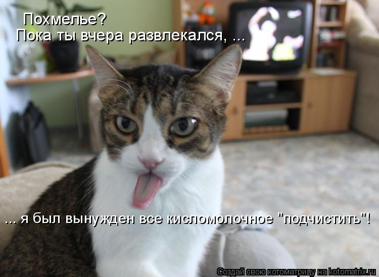 Похмелье? Пока ты вчера развлекался, ... ... я был вынужден все кисломолочное "подчистить"!... Котоматрица: Похмелье? Пока ты вчера развлекался, ... ... я был вынужден все кисломолочное "подчистить"!