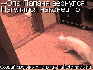 Котоматрица: --Опа!Папаня вернулся! Нагулялся наконец-то!