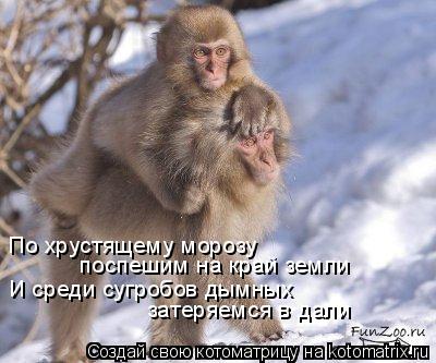 Котоматрица: По хрустящему морозу  поспешим на край земли  И среди сугробов дымных  затеряемся в дали