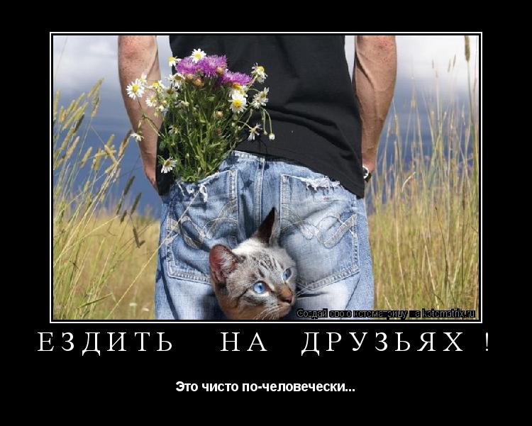 ЕЗДИТЬ НА ДРУЗЬЯХ ! Это чисто по-человечески...... Котоматрица: ЕЗДИТЬ НА ДРУЗЬЯХ ! Это чисто по-человечески...