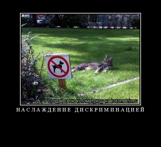 Наслаждение дискриминацией ... Котоматрица: Наслаждение дискриминацией