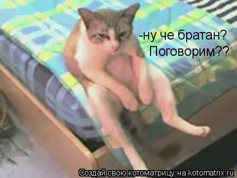 Котоматрица: -ну че братан? Поговорим??