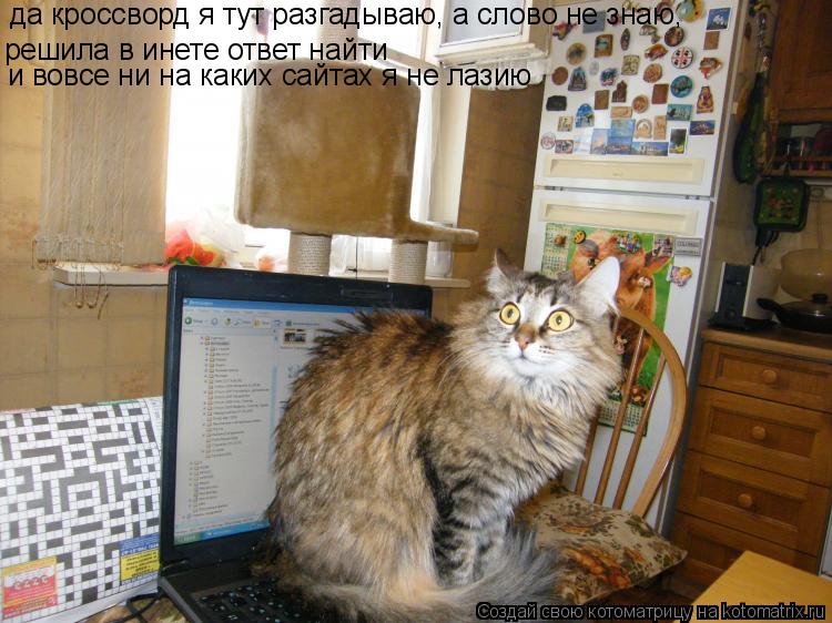 Котоматрица: да кроссворд я тут разгадываю, а слово не знаю, решила в инете ответ найти и вовсе ни на каких сайтах я не лазию