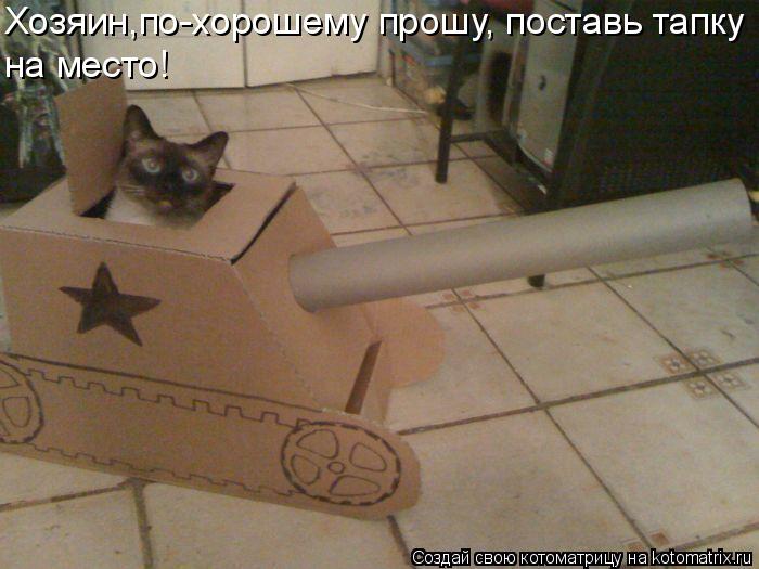 Котоматрица: Хозяин,по-хорошему прошу, поставь тапку на место!