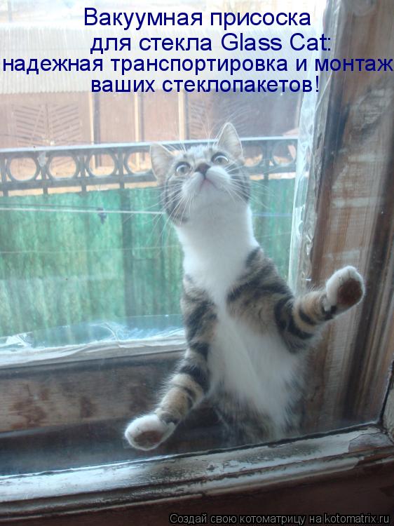 Котоматрица: Вакуумная присоска   для стекла Glass Cat: надежная транспортировка и монтаж ваших стеклопакетов!