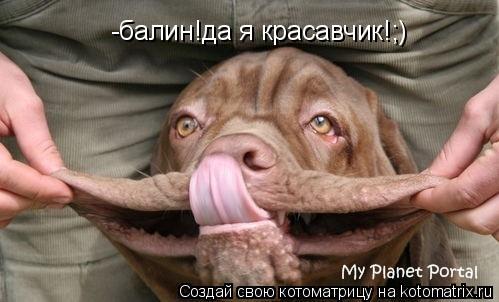 Котоматрица: -балин!да я красавчик!;)