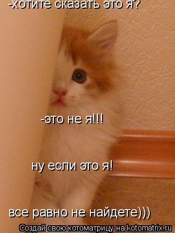 Котоматрица: -хотите сказать это я?  -это не я!!! ну если это я!  все равно не найдете)))