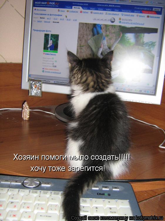 Котоматрица: Хозяин помоги мыло создать!!!!! хочу тоже зарегится!