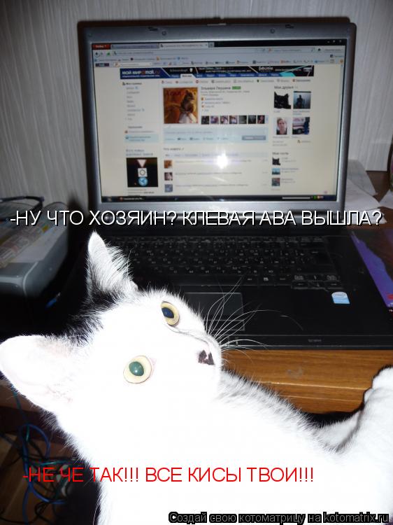 -НУ ЧТО ХОЗЯИН? КЛЕВАЯ АВА ВЫШЛА? -НЕ ЧЕ ТАК!!! ВСЕ КИСЫ ТВОИ!!!... Котоматрица: -НУ ЧТО ХОЗЯИН? КЛЕВАЯ АВА ВЫШЛА? -НЕ ЧЕ ТАК!!! ВСЕ КИСЫ ТВОИ!!!