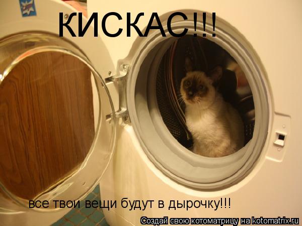 Котоматрица: КИСКАС!!! все твои вещи будут в дырочку!!!