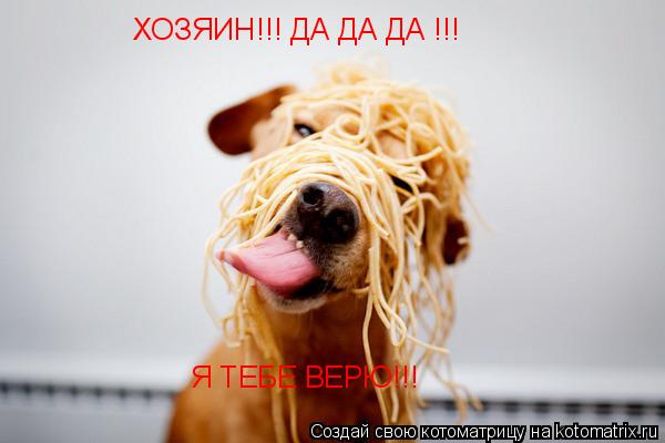 Котоматрица: ХОЗЯИН!!! ДА ДА ДА !!! Я ТЕБЕ ВЕРЮ!!!
