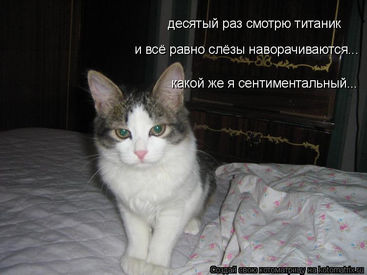 Котоматрица: десятый раз смотрю титаник  и всё равно слёзы наворачиваются... какой же я сентиментальный...