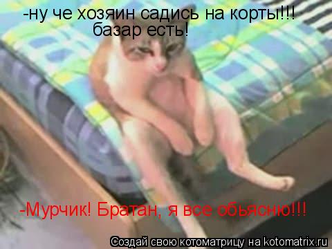-ну че хозяин садись на корты!!! базар есть! -Мурчик! Братан, я все обьясню!!!... Котоматрица: -ну че хозяин садись на корты!!! базар есть! -Мурчик! Братан, я все обьясню!!!