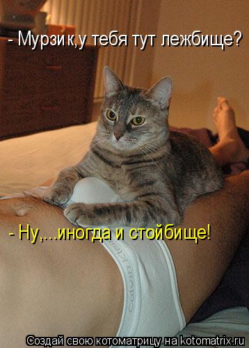 - Мурзик,у тебя тут лежбище? - Ну,...иногда и стойбище!... Котоматрица: - Мурзик,у тебя тут лежбище? - Ну,...иногда и стойбище!