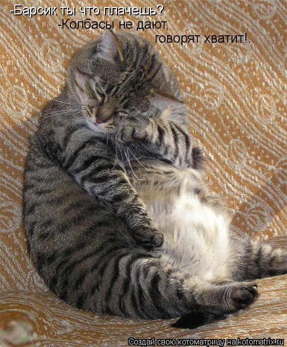 -Барсик ты что плачешь? -Колбасы не дают, говорят хватит!..... Котоматрица: -Барсик ты что плачешь? -Колбасы не дают, говорят хватит!..