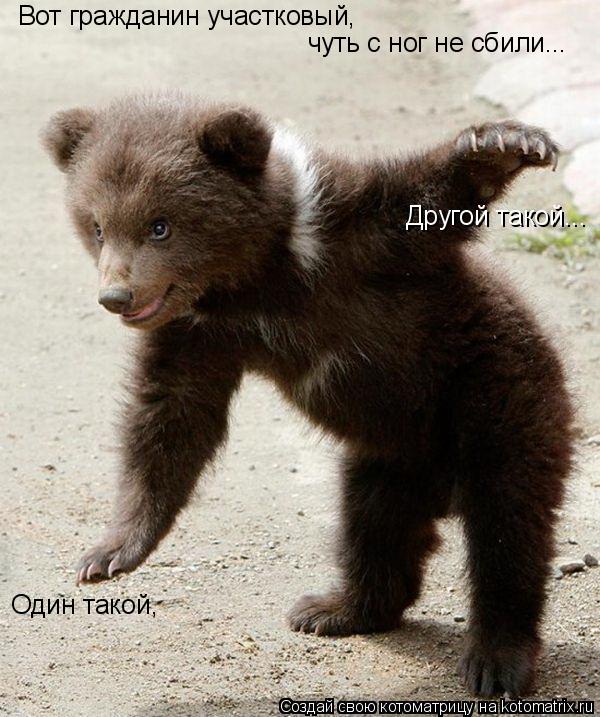 Вот гражданин участковый, чуть с ног не сбили... Один такой, Другой такой...... Котоматрица: Вот гражданин участковый, чуть с ног не сбили... Один такой, Другой такой...