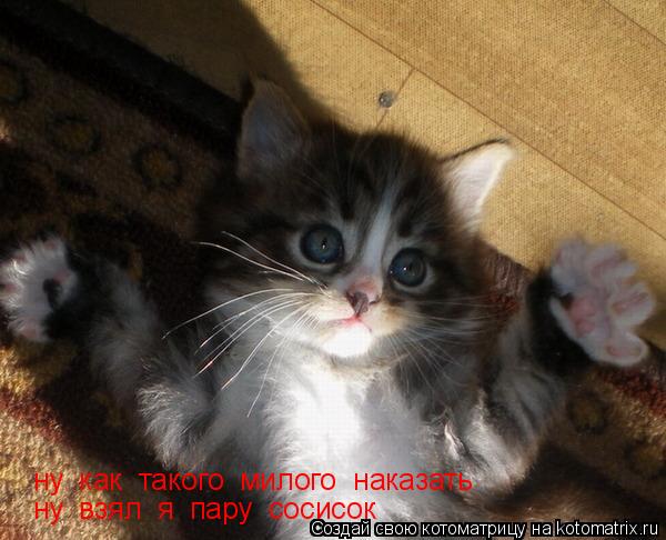 ну как такого милого наказать ну взял я пару сосисок... Котоматрица: ну как такого милого наказать ну взял я пару сосисок