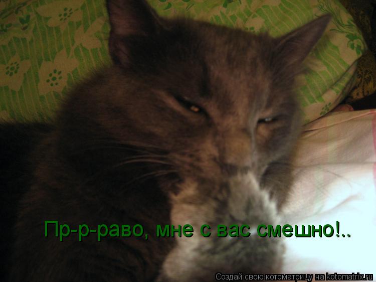 Пр-р-раво, мне с вас смешно!..... Котоматрица: Пр-р-раво, мне с вас смешно!..
