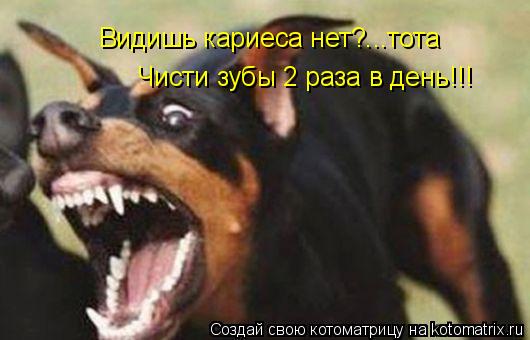 Видишь кариеса нет?...тота Чисти зубы 2 раза в день!!!... Котоматрица: Видишь кариеса нет?...тота Чисти зубы 2 раза в день!!!