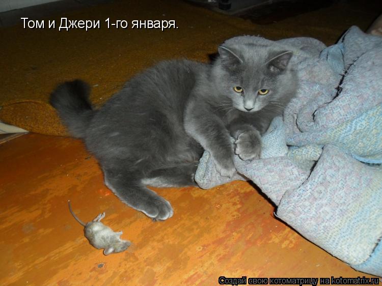 Том и Джери 1-го января.... Котоматрица: Том и Джери 1-го января.