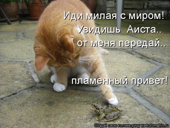 Иди милая с миром! Увидишь Аиста.. от меня передай.. пламенный привет!... Котоматрица: Иди милая с миром! Увидишь Аиста.. от меня передай.. пламенный привет!