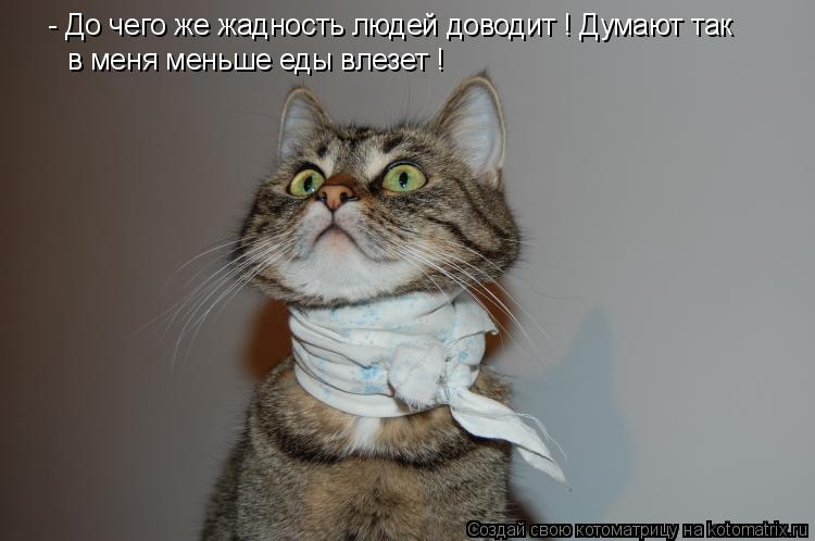 - До чего же жадность людей доводит ! Думают так в меня меньше еды влезет !... Котоматрица: - До чего же жадность людей доводит ! Думают так в меня меньше еды влезет !