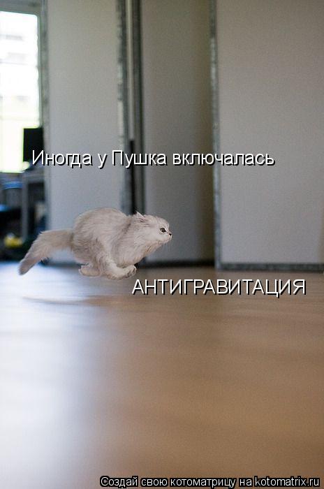 Иногда у Пушка включалась АНТИГРАВИТАЦИЯ... Котоматрица: Иногда у Пушка включалась АНТИГРАВИТАЦИЯ