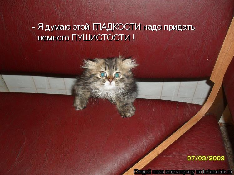 - Я думаю этой ГЛАДКОСТИ надо придать немного ПУШИСТОСТИ !... Котоматрица: - Я думаю этой ГЛАДКОСТИ надо придать немного ПУШИСТОСТИ !