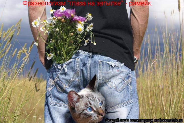 Фразеологизм "глаза на затылке" - римейк.... Котоматрица: Фразеологизм "глаза на затылке" - римейк.