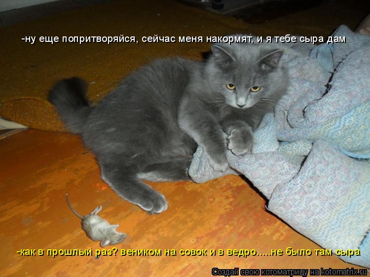 -ну еще попритворяйся, сейчас меня накормят, и я тебе сыра дам -как в прошлый раз? веником на совок и... Котоматрица: -ну еще попритворяйся, сейчас меня накормят, и я тебе сыра дам -как в прошлый раз? веником на совок и в ведро.....не было там сыра