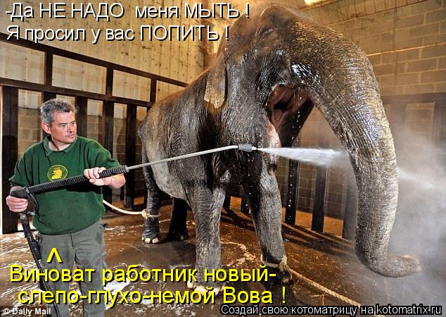 -Да НЕ НАДО меня МЫТЬ ! Виноват работник новый- слепо-глухо-немой Вова ! ^ Я просил у вас ПОПИТЬ !... Котоматрица: -Да НЕ НАДО меня МЫТЬ ! Виноват работник новый- слепо-глухо-немой Вова ! ^ Я просил у вас ПОПИТЬ !