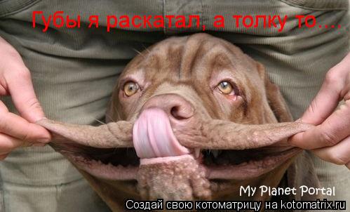 Губы я раскатал, а толку то....... Котоматрица: Губы я раскатал, а толку то....