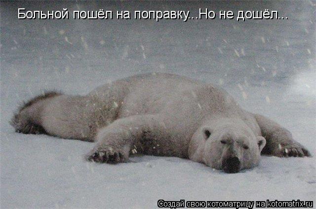 Больной пошёл на поправку...Но не дошёл...... Котоматрица: Больной пошёл на поправку...Но не дошёл...