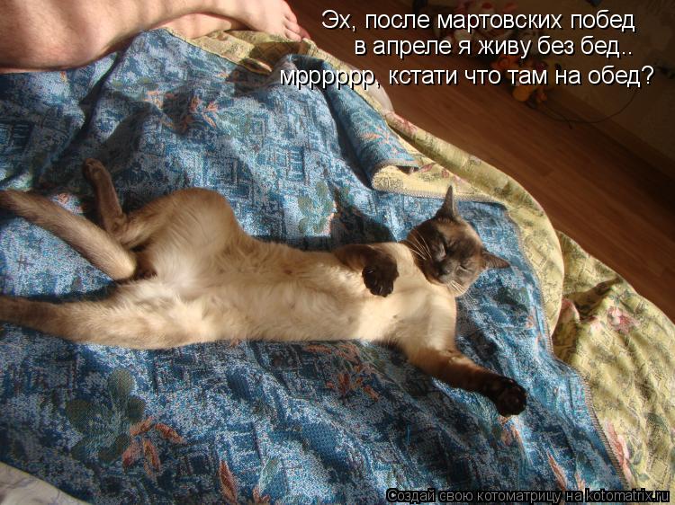 Эх, после мартовских побед в апреле я живу без бед.. мрррррр, кстати что там на обед?... Котоматрица: Эх, после мартовских побед в апреле я живу без бед.. мрррррр, кстати что там на обед?