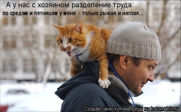 А у нас с хозяином разделение труда: по средам и пятницам у меня - только рыжая и наглая...... Котоматрица: А у нас с хозяином разделение труда: по средам и пятницам у меня - только рыжая и наглая...