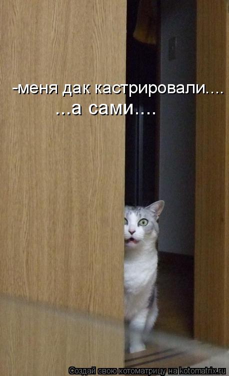 -меня дак кастрировали.... ...а сами....... Котоматрица: -меня дак кастрировали.... ...а сами....